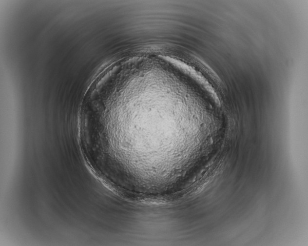 X0000113040994200909171517