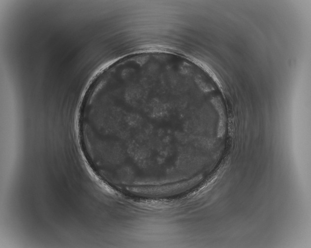 X0000113040995200909171517