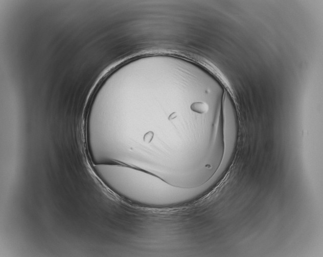 X0000113040996200909171517