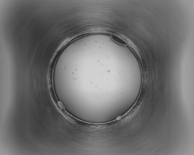 X0000113040997200909171517