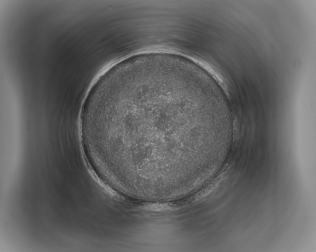 X0000113040998200909171517