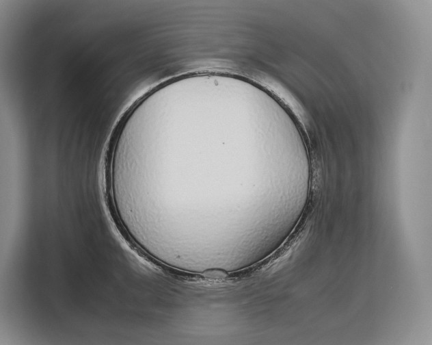 X0000113040999200909171517