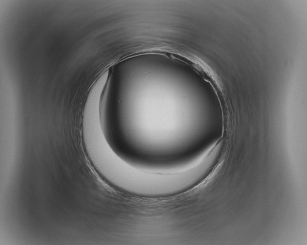 X0000113041001200909171517