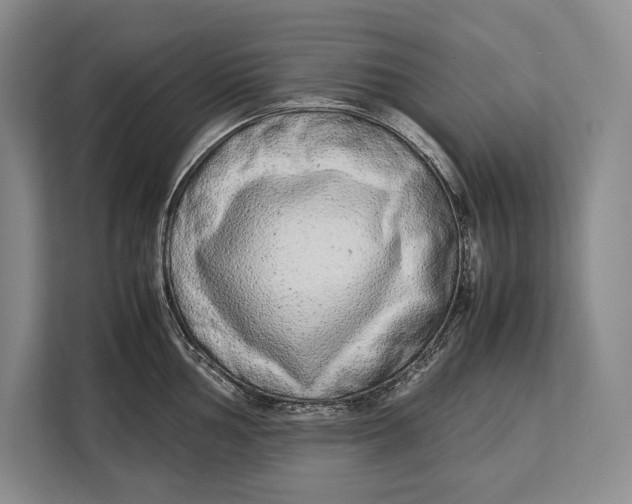 X0000113041002200909171517