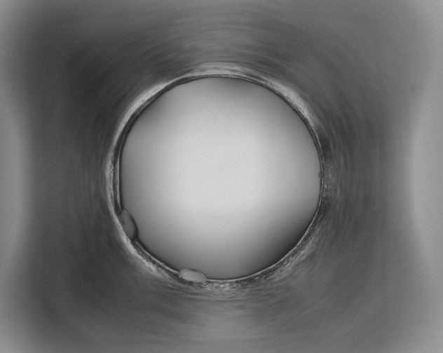 X0000113041003200909171517