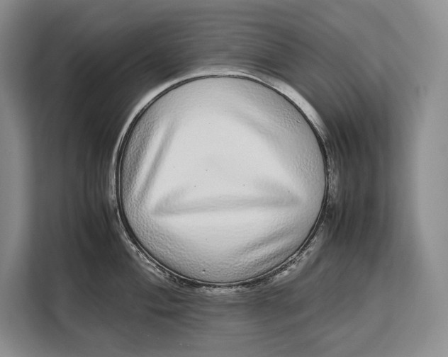 X0000113041004200909171517