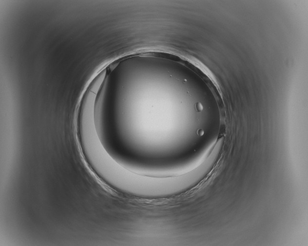 X0000113041005200909171517