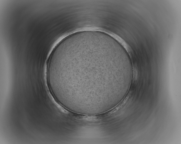 X0000113041006200909171517