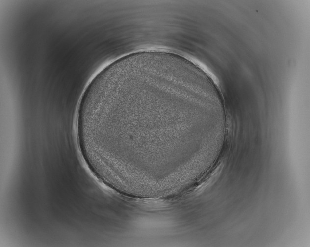 X0000113041007200909171517