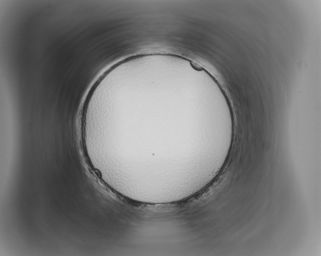 X0000113041008200909171517