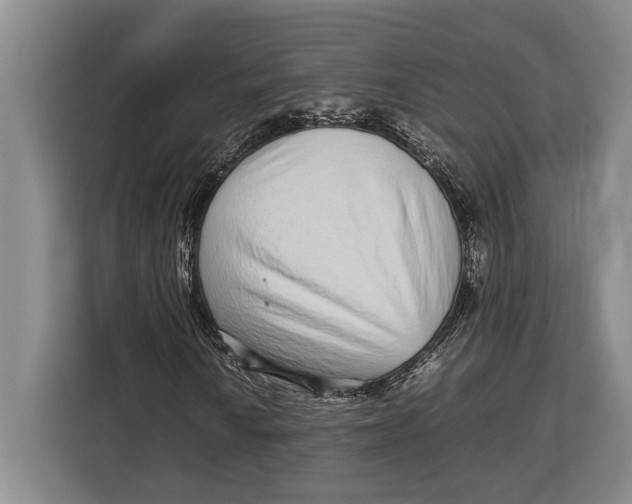 X0000113041010200909171516