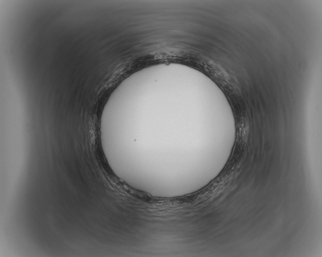 X0000113041012200909171516