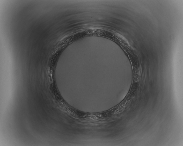X0000113041013200909171516