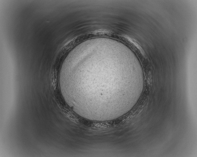 X0000113041015200909171516