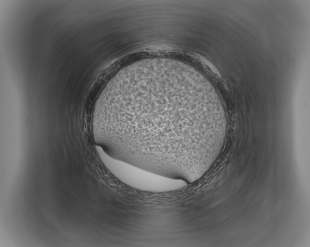 X0000113041016200909171517