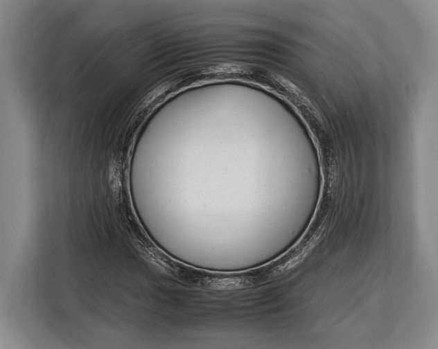 X0000113041017200909171517