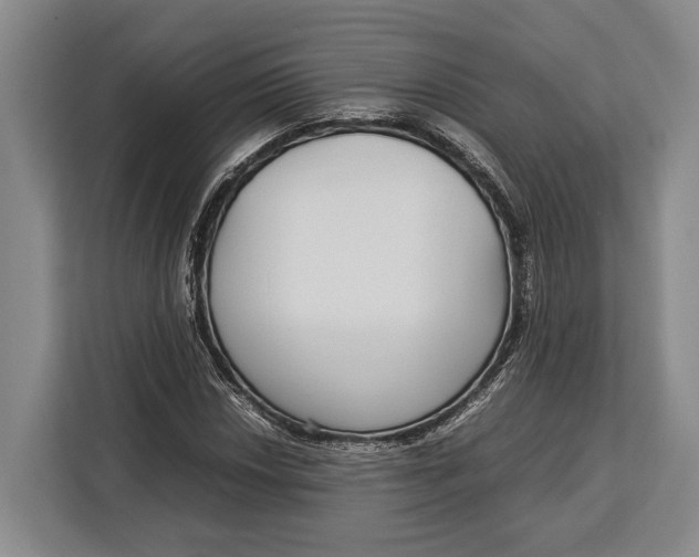 X0000113041018200909171517