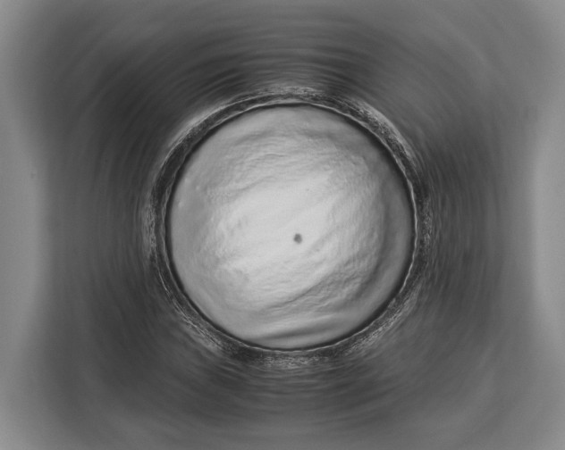 X0000113041019200909171517