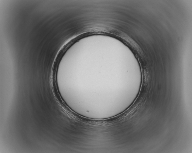 X0000113041020200909171517