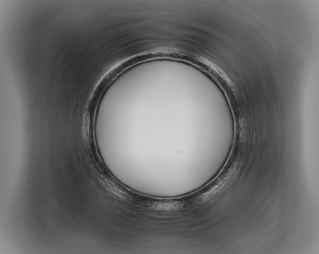 X0000113041021200909171517