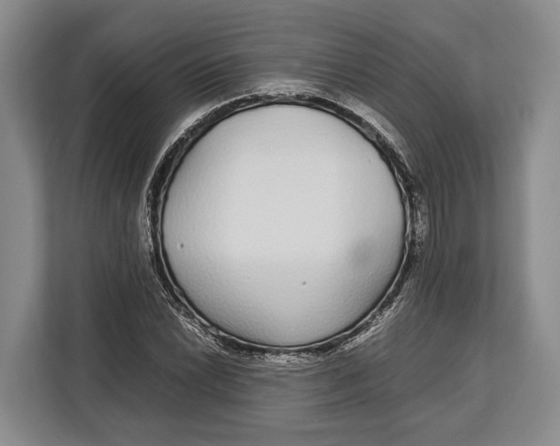 X0000113041022200909171517