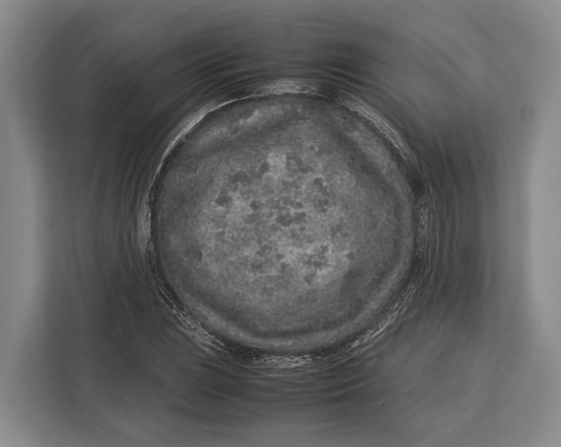 X0000113041023200909171517