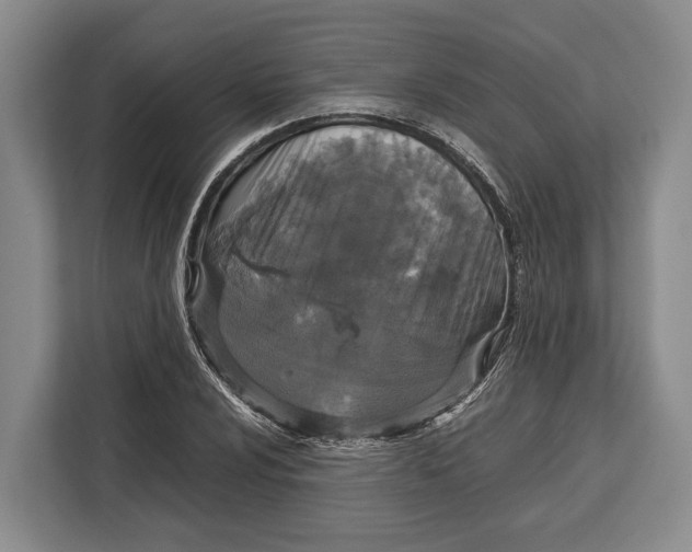 X0000113041024200909171517