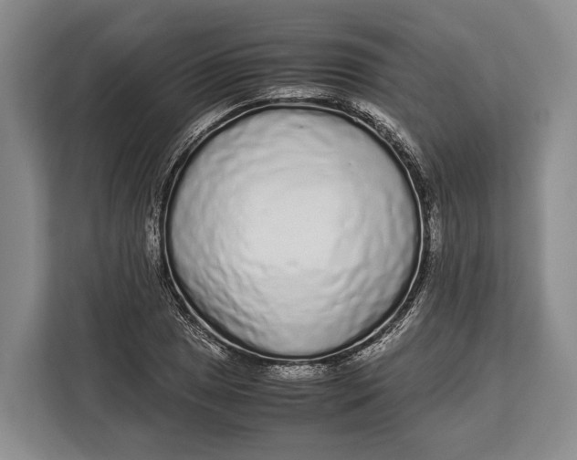 X0000113041025200909171517