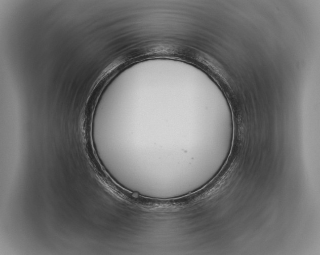 X0000113041026200909171517