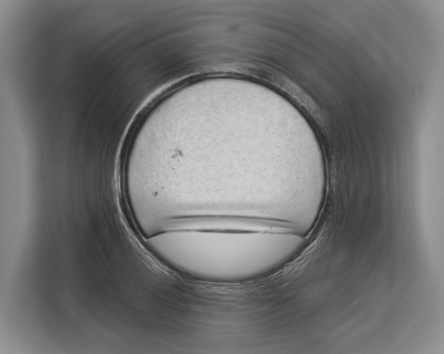 X0000113041028200909171517