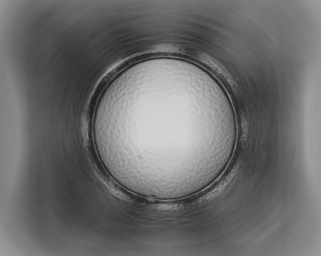 X0000113041029200909171517