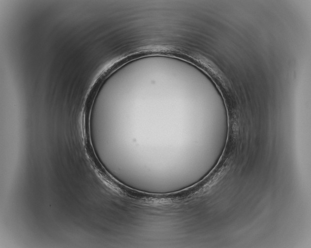 X0000113041030200909171517