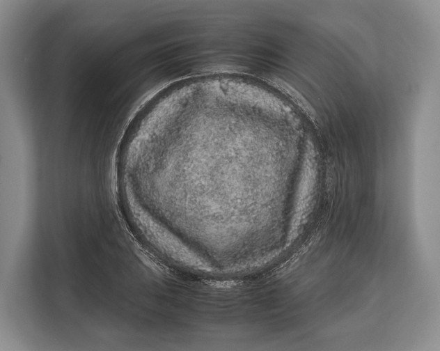 X0000113041031200909171517