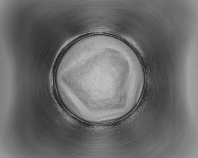 X0000113041032200909171517