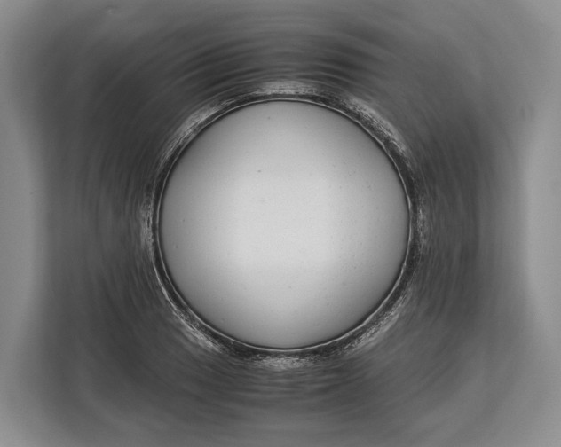 X0000113041033200909171517