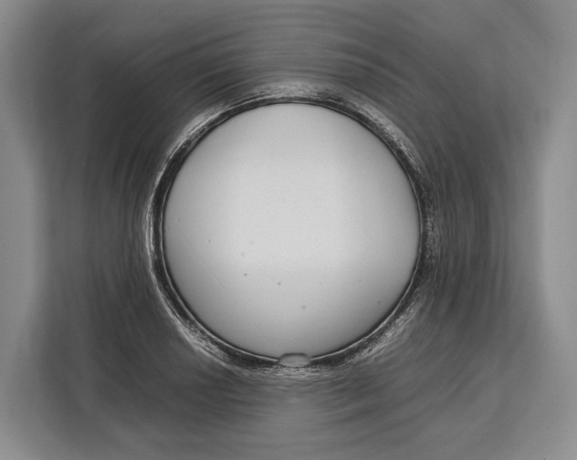 X0000113041034200909171517