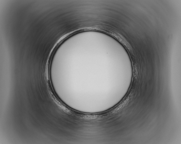 X0000113041036200909171517