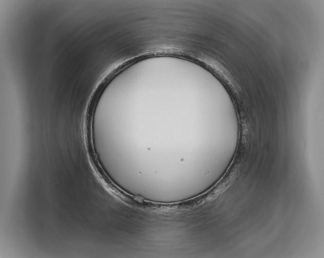 X0000113041038200909171517