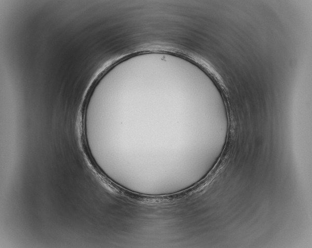 X0000113041040200909171517