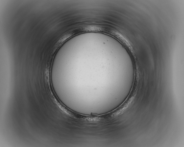 X0000113041041200909171517