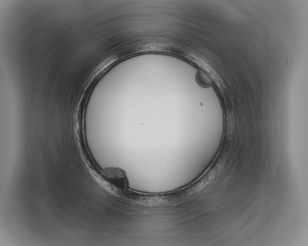 X0000113041042200909171517