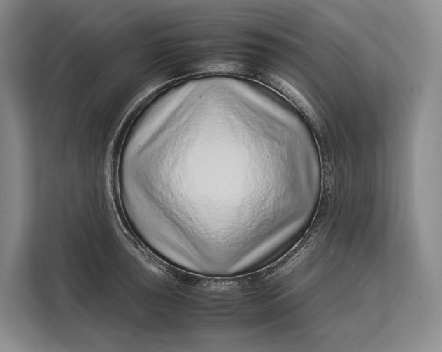 X0000113041043200909171517