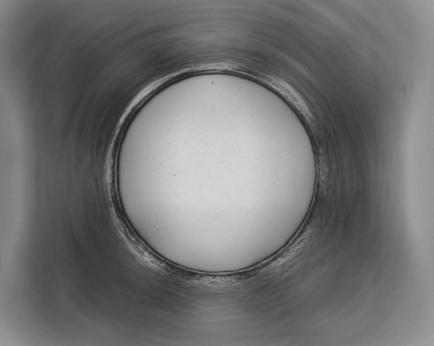 X0000113041044200909171517
