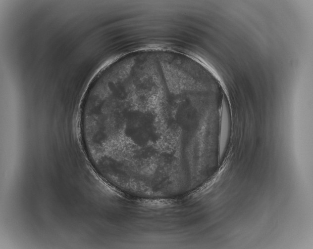 X0000113041045200909171517