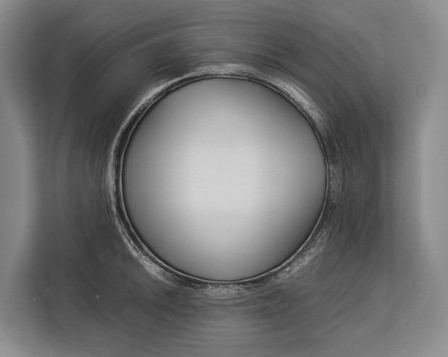 X0000113041046200909171517