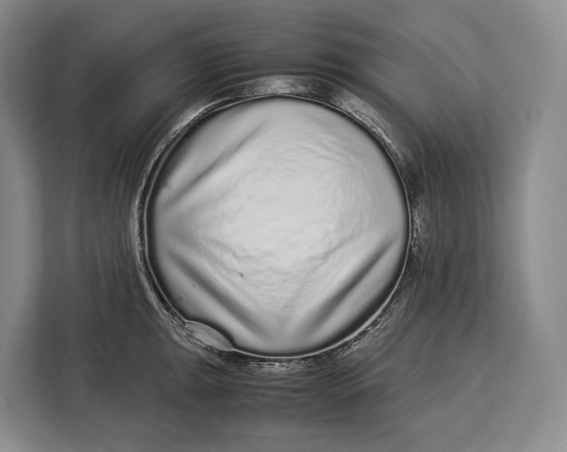 X0000113041047200909171517