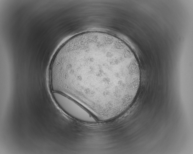 X0000113041048200909171517