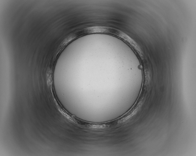 X0000113041049200909171517