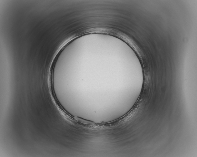 X0000113041050200909171517