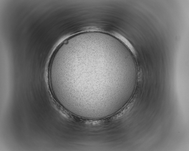 X0000113041051200909171517
